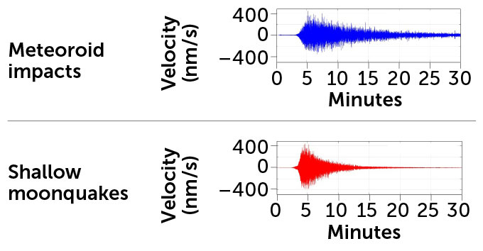 Two graphs showing the long, faint waveform of lunar meteoroid impacts and the short, bushy waveform of shallow lunar earthquakes.